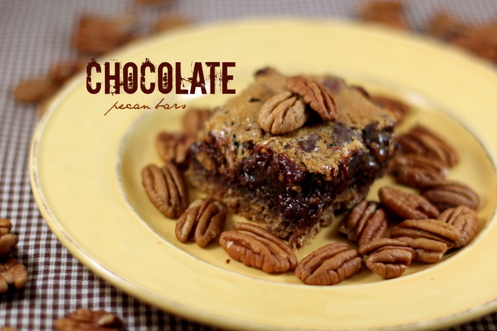 Chocolate Pecan Bar 2