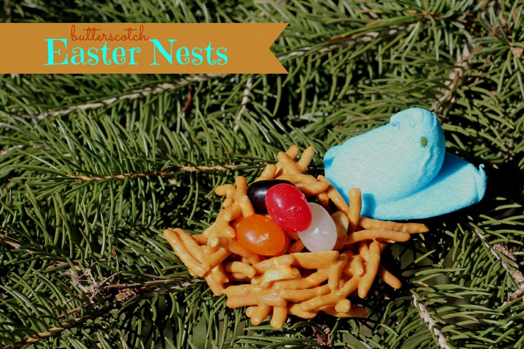 Nests