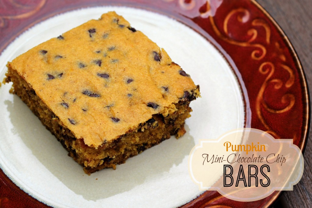 Pumpkin Mini Chip Bar